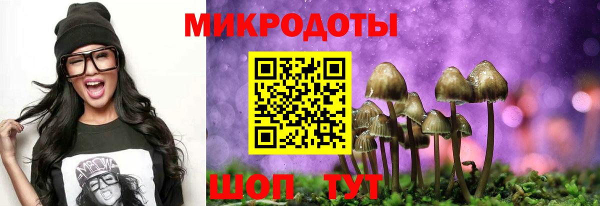 Псилоцибиновые грибы мицелий  как найти   Асино  Вход с VPN 